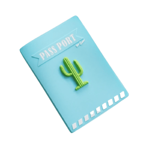 Etui passeport <br> Cactus