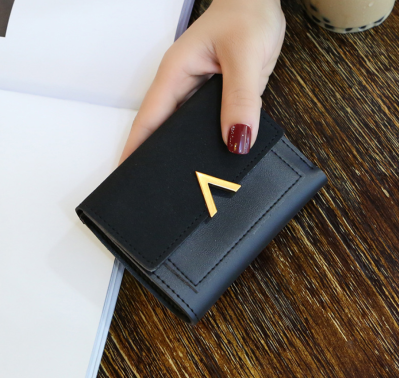 Petit portefeuille V