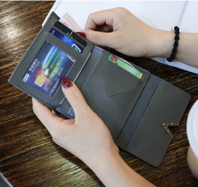 Petit portefeuille V