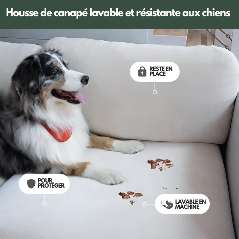 Housse de Coussin Canapé