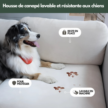 Housse de Coussin Canapé