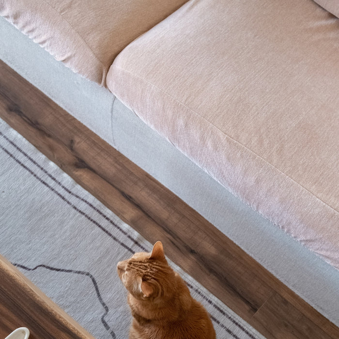 Housse Coussin Canapé - Velours