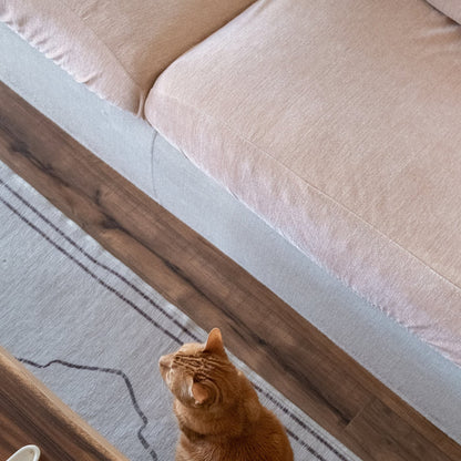 Housse Coussin Canapé - Velours