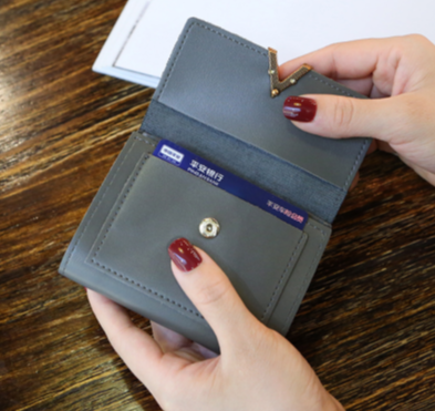 Petit portefeuille V