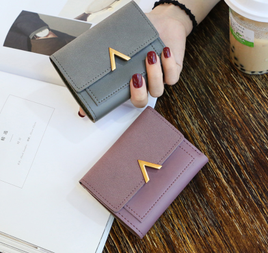 Petit portefeuille V