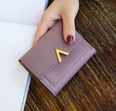 Petit portefeuille V