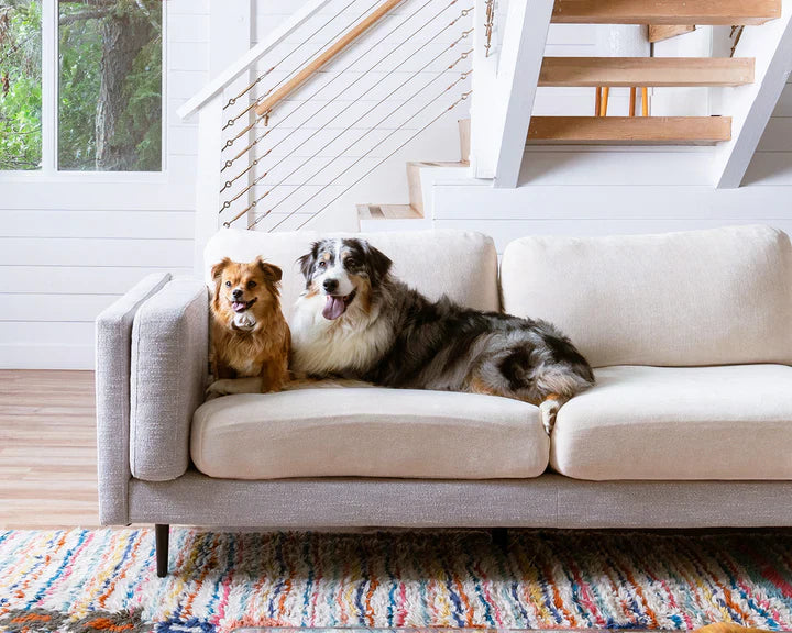 Housse de Coussin Canapé