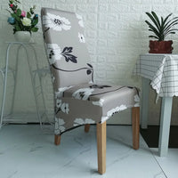 Motif 24