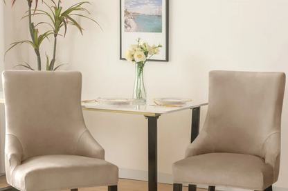 Housse de chaise <br> Inclinée Velours Beige