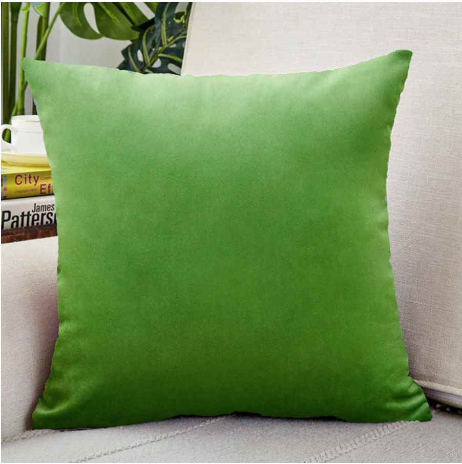Housse de coussin 40x40 <br> Velours vert