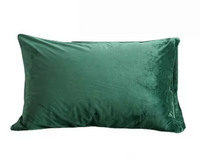 Housse de Coussin